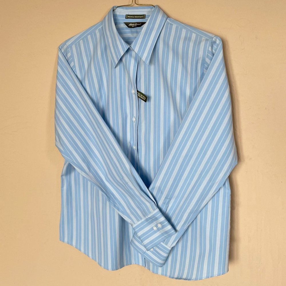 Blue and Cream Striped Eddie Bauer Wrinkle Resistant Shirt